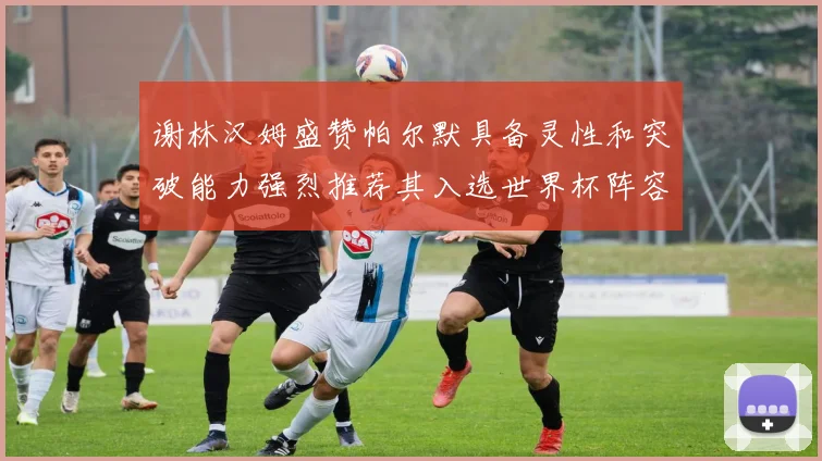 谢林汉姆盛赞帕尔默具备灵性和突破能力强烈推荐其入选世界杯阵容